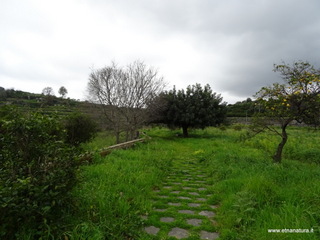 rme santa Venera13-03-2017 12-00-13